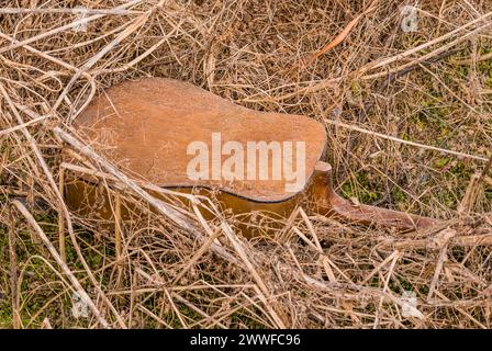 Eine alte, weggeworfene Gitarre in bewachsenem Gras, die eine Geschichte von Verfall und Vernachlässigung erzählt, in Südkorea Stockfoto