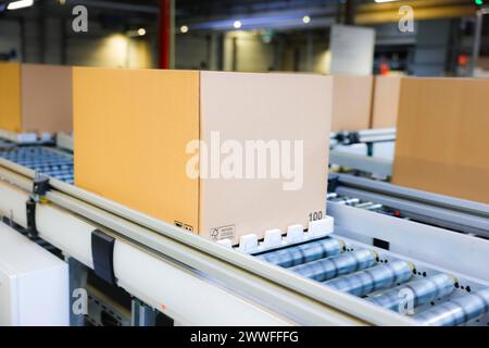 Kartons für den Versand auf einem Förderband in einem Logistikzentrum in Köln, Nordrhein-Westfalen, Deutschland Stockfoto