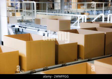 Kartons für den Versand auf einem Förderband in einem Logistikzentrum in Köln, Nordrhein-Westfalen, Deutschland Stockfoto