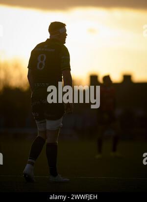 Galway, Irland. März 2024. Sean O’Brien Silhouetten beim Sonnenuntergang im Dexcom Stadium in Galway während einer Pause in Aktion Credit: Don Soules/Alamy Live News Stockfoto