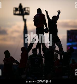 Galway, Irland. März 2024. Darrien Landsberg von Emirates Lions gewinnt ein Lineout, als die Sonne über dem Dexcom Stadium in Galway untergeht Stockfoto