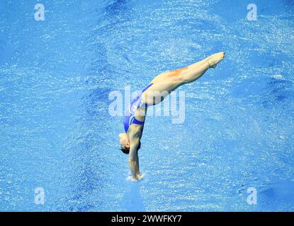 Berlin, Deutschland. März 2024. Chen Yiwen aus China tritt am 23. März 2024 im 3-m-Springboard-Finale der Frauen an der World Aquatics Diving World Cup 2024 in Berlin an. Quelle: Ren Pengfei/Xinhua/Alamy Live News Stockfoto