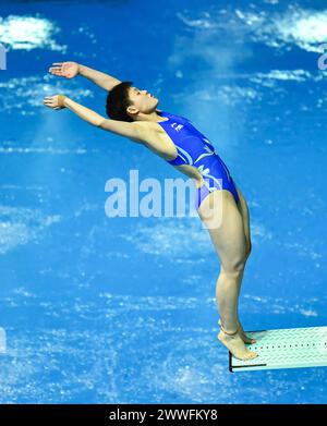 Berlin, Deutschland. März 2024. Chen Yiwen aus China tritt am 23. März 2024 im 3-m-Springboard-Finale der Frauen an der World Aquatics Diving World Cup 2024 in Berlin an. Quelle: Ren Pengfei/Xinhua/Alamy Live News Stockfoto