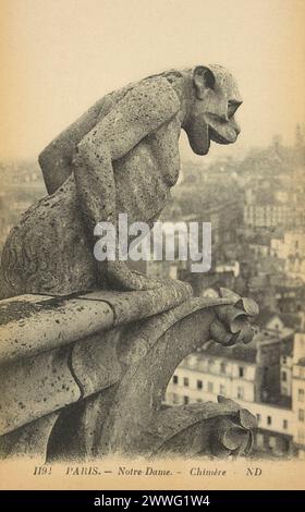 Schwarzweißfotos der grotesken Chimera-Statuen auf dem Dach der Kathedrale Notre Dame in Paris, Frankreich CA. 1885 Stockfoto