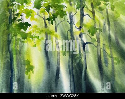 Grüner Frühlingswald im Nebel Aquarellhintergrund Stockfoto