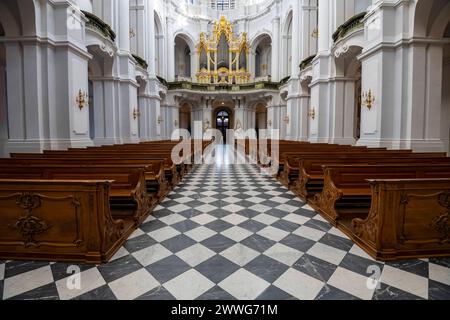 Innenansicht Kathedrale St. Trinitatis, Orgelempore, Dresden, Freistaat Sachsen, Deutschland mcpins *** Innenansicht von St. Trinitatis-Kathedrale, org Stockfoto