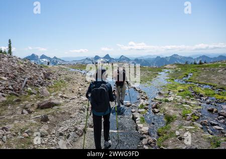 Im Sommer überqueren wir den Fluss am Skyline Loop Trail. Unerkennbare Menschenmenge auf dem Weg. Mt Rainier National Park. Bundesstaat Washington. Stockfoto