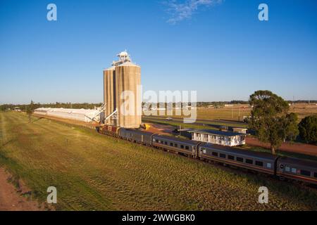Der Westlander Travel Train fährt vorbei an Wallumbilla, einer ländlichen Stadt und Ortschaft in der Region Maranoa, Queensland, Australien Stockfoto