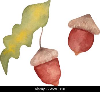 Acorn mit Eichenblatt. Aquarellillustration. Clipart einer braunen Nuss mit einem grünen Blatt. Handgezeichnete isolierte Kunst. Herbstelement des Natur-Makrowaldes Stock Vektor