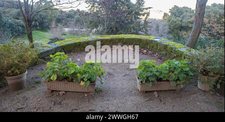 P. de Acim, Spanien - 21. Januar 2024: Außengärten des Klosters El Palancar, Pedroso de Acim, Caceres, Spanien Stockfoto