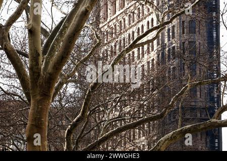 New York, USA. Februar 2024. Das Flatiron Building hinter einigen Bäumen auf der Fifth Avenue, Manhattan, New York, USA. Hinweis: Nidpor/Alamy Live News Stockfoto