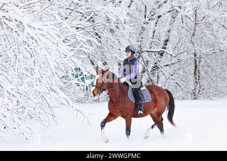 Pferdemädchen läuft mit Vollblut-Dressurpferd auf den Winterfeldern zu Pferd Stockfoto