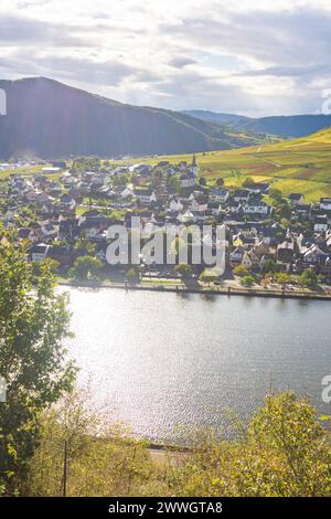 Ellenz-Poltersdorf: Mosel (Mosel), Dorf Ellenz, Weinberg in Mosel, Rheinland-Pfalz, Rheinland-Pfalz, Deutschland Stockfoto