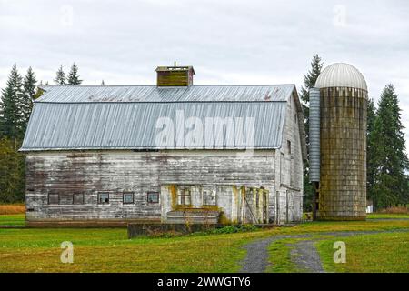 Alte Holzscheune und Lagersilo, USA Stockfoto