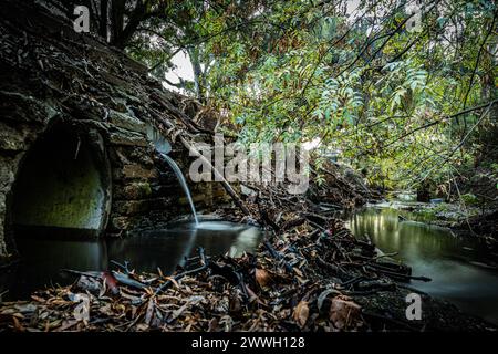 Wasser strömt von einem Rohr in einen abgelegenen Stadtbach, umgeben von üppigem Grün und Schutt. Stockfoto