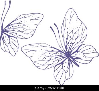 Zarte Schmetterlinge mit Mustern auf den Flügeln, einfach, süß, leicht, romantisch. Grafische Darstellung in lilafarbener Tinte im Linienstil. Einstellen Stock Vektor