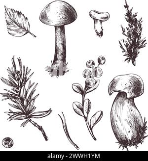 Eine Reihe von Waldpilzen, Boletus, Pfifferlingen und Heidelbeeren, Preiselbeeren, Zweigen, Kegel, Blätter. Grafische botanische Illustration handgezeichnet Stock Vektor