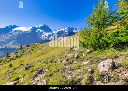 Massif de la Meije und le Râteau, Massif des Ecrins, Frankreich Stockfoto