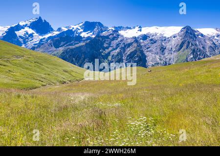 Massif de la Meije und le Râteau, Massif des Ecrins, Frankreich Stockfoto