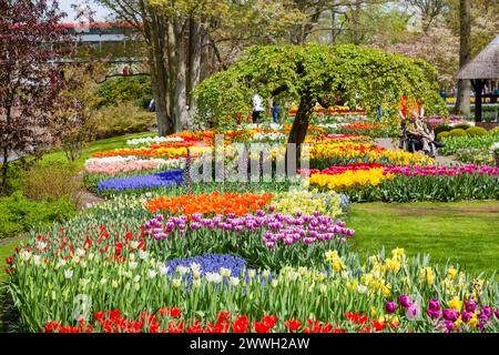 Farbenfrohe Blumenbeete mit attraktiven Blumensorten in bunten Farben, gemischte Tulpen, die im Frühjahr in den Gärten des Keukenhof in Lisse, Holland, blühen Stockfoto