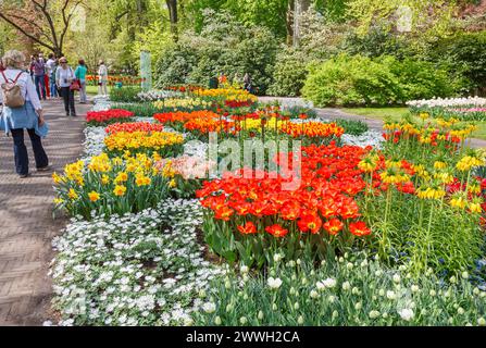 Bunte, farbenfrohe Blumenbeete und -Borten in den Gärten Keukenhof, Lisse, Holland im Frühjahr mit Tulpen und Narzissen in Blüte Stockfoto