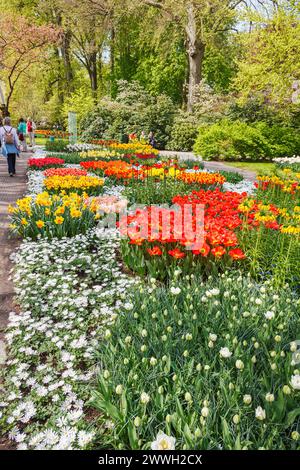 Farbenfrohe Blumenbeete und -Borten in den Gärten Keukenhof, Lisse, Holland im Frühjahr mit Tulpen und Narzissen in Blüte Stockfoto