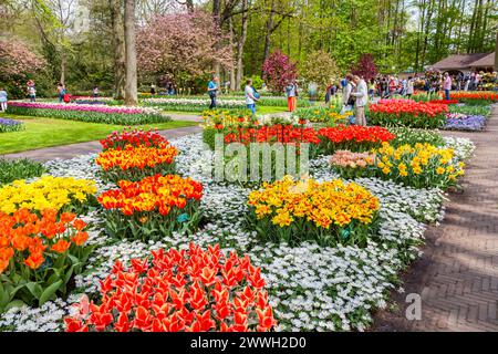 Ausstellung von Orangen- und Gelbkronen kaiserlichen Fritillarien, Tulpen, Narzissen und weißen Anemonen Blanda in einem Blumenbeet, Keukenhof Gärten, Lisse, Holland Stockfoto