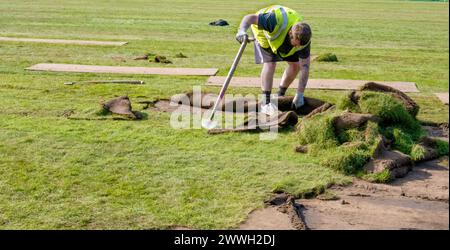 Mann, der in einem Park Rasen legt Stockfoto