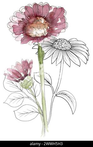 Aquarell Hand bemalt Wiese Blumen Blumenstrauß Illustration, Liner Skizze Wildblumen Clipart, Feld Blumen Komposition Stockfoto