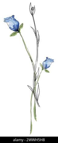 Aquarell Hand bemalt Wiese Blumen Blumenstrauß Illustration, Liner Skizze Wildblumen Clipart, blaue Feld Blumen Komposition Stockfoto