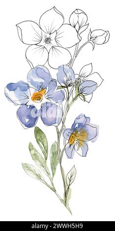 Aquarell Hand bemalt Wiese Blumen Blumenstrauß Illustration, Liner Skizze Wildblumen Clipart, blaue Feld Blumen Komposition Stockfoto