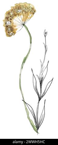 Aquarell Hand bemalt Wiese Blumen Blumenstrauß Illustration, Liner Skizze Wildblumen Clipart, Feld Blumen Komposition Stockfoto