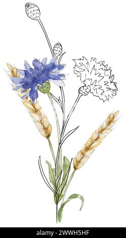 Aquarell Hand bemalt Wiese Blumen Blumenstrauß Illustration, Liner Skizze Wildblumen Clipart, blaue Feld Blumen Komposition Stockfoto