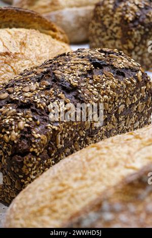 Verschiedene Brotbrote - Weizen, Roggen, Mehrkorn, Vollkorn, abstrakter Lebensmittelhintergrund Stockfoto