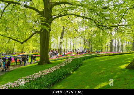 LISSE, NIEDERLANDE - 22. APRIL 2018: Viele Menschen genießen die blühenden Tulpen im Keukenhof, dem schönsten Frühlingsgarten der Welt. Stockfoto