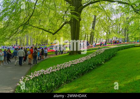 LISSE, NIEDERLANDE - 22. APRIL 2018: Viele Menschen genießen die blühenden Tulpen im Keukenhof, dem schönsten Frühlingsgarten der Welt. Stockfoto