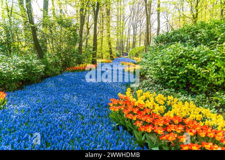 LISSE, NIEDERLANDE - 22. APRIL 2018: Viele Menschen genießen die blühenden Tulpen im Keukenhof, dem schönsten Frühlingsgarten der Welt. Stockfoto