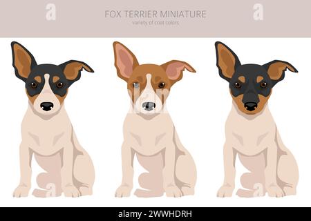 Fox Terrier Miniatur Hündchen Clipart. Verschiedene Beschichtungsfarben eingestellt. Vektorabbildung Stock Vektor