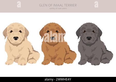 Glen of Imaal Terrier Welpen Clipart. Verschiedene Posen, Fellfarben gesetzt. Vektorabbildung Stock Vektor