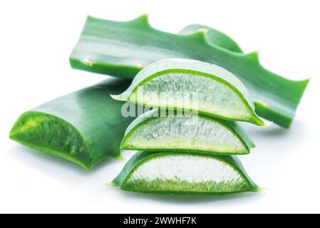 Schnitte von Aloe-Vera-Blatt-Makroaufnahme. Frische Aloe Vera Blätter isoliert auf weißem Hintergrund. Stockfoto