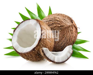 Kokosnüsse mit grünen Blättern auf weißem Hintergrund. Stockfoto