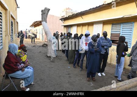 Dakar, Senegal. März 2024. Die Wähler stehen für die Stimmabgabe in Dakar, Senegal, 24. März 2024. Die erste Runde der senegalesischen Präsidentschaftswahlen begann am Sonntag um 8 Uhr Ortszeit. Quelle: Demba Gueye/Xinhua/Alamy Live News Stockfoto