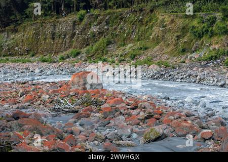 Von Flechten rot gefärbte Felsen sind im Fox River in der Nähe des Fox-Gletschers an der Westküste der Südinsel Neuseelands zu sehen. Stockfoto