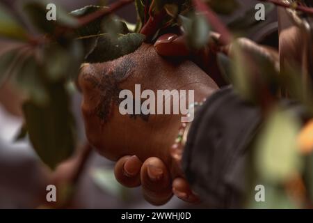 Barcelona, Spanien. März 2024. Eine Anbeterin mit einem christlichen Kreuz auf der Hand wartet auf den Segen nach der Palmensonntagsprozession Credit: Matthias Oesterle/Alamy Live News Stockfoto