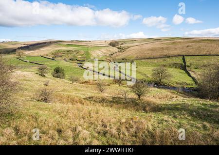 In Richtung Bookil Gill Beck vom Pfad nach New Pasture, Long Preston, gegen Ende des Winters 2024, Yorkshire Dales, North Yorkshire, Stockfoto