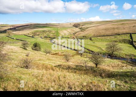 In Richtung Bookil Gill Beck vom Pfad nach New Pasture, Long Preston, gegen Ende des Winters 2024, Yorkshire Dales, North Yorkshire, Stockfoto