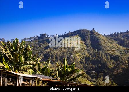 Berge und Plantagen in Pacora in der Caldas-Region Kolumbiens. Stockfoto