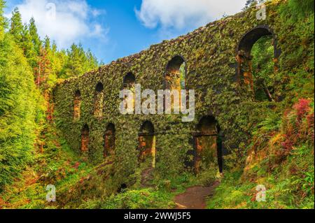 Entdecken Sie das Muro das Nove Janelas, ein geheimnisvolles, moosbedecktes Aquädukt in den üppigen Wäldern von Sao Miguel, ein Relikt der Geschichte der Azoren. Stockfoto