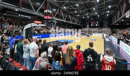 Chemnitz, Deutschland. März 2024. Basketball, Bundesliga, Niners Chemnitz - Alba Berlin, Hauptrunde, Spieltag 25, Chemnitz Arena. Blick in die ausverkaufte Arena. Quelle: Hendrik Schmidt/dpa/Alamy Live News Stockfoto