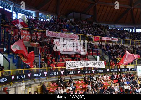 Busto Arsizio, Italien. März 2024. Anhänger von Uyba Volley Busto Arsizio gegen Prosecco Doc Imoco Conegliano, Volleyball Italian Serie A1 Women Match in Busto Arsizio, Italien, 24. März 2024 Credit: Independent Photo Agency/Alamy Live News Stockfoto